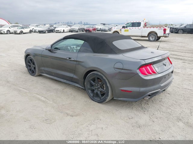 Ford Mustang 2019 1FATP8UH1K5183850 Image 3