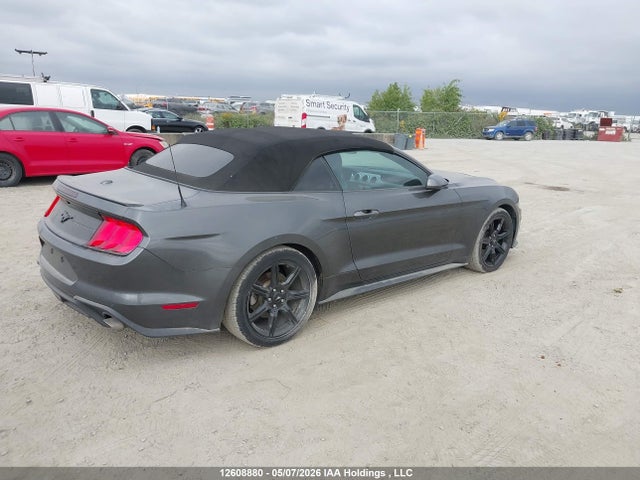 Ford Mustang 2019 1FATP8UH1K5183850 Image 4