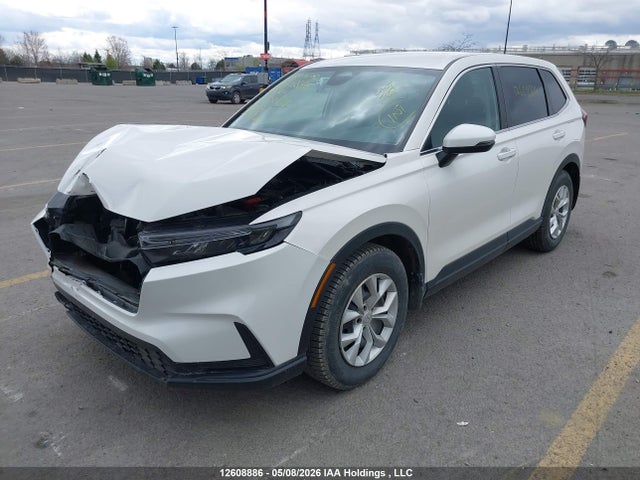 Продаж на аукціоні авто 2024 Honda Cr-v Lx-b, vin: 2HKRS3H2XRH000578, номер лоту: 12608886