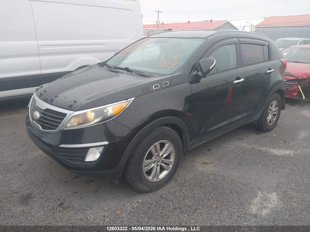2013 Kia Sportage Lx მანქანა იყიდება აუქციონზე, vin: KNDPB3A21D7447833, აუქციონის ნომერი: 12603322