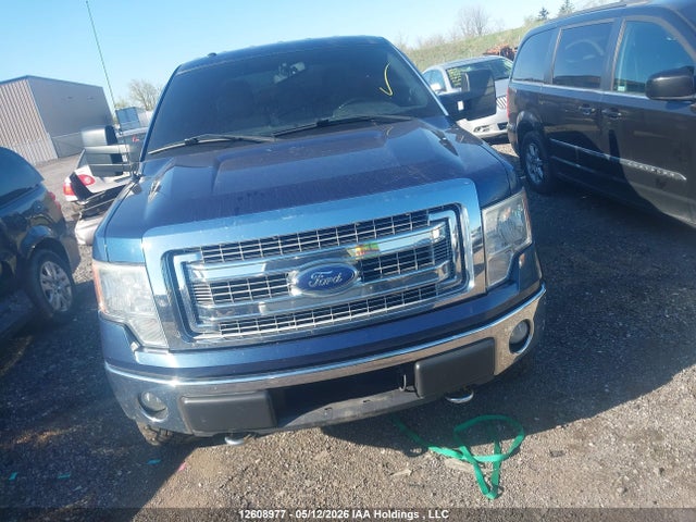 Продаж на аукціоні авто 2013 Ford F-150 Xlt, vin: 1FTFW1EF9DFB48176, номер лоту: 12608977
