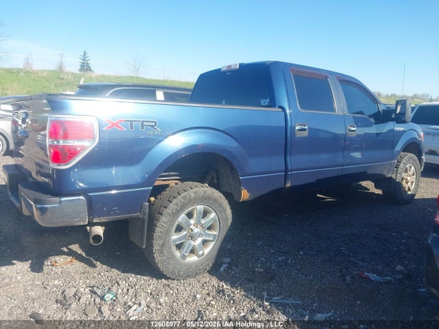 Продаж на аукціоні авто 2013 Ford F-150 Xlt, vin: 1FTFW1EF9DFB48176, номер лоту: 12608977
