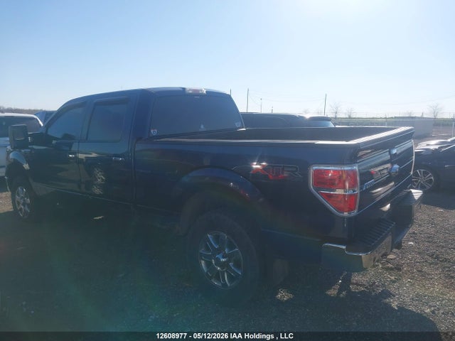 Продаж на аукціоні авто 2013 Ford F-150 Xlt, vin: 1FTFW1EF9DFB48176, номер лоту: 12608977