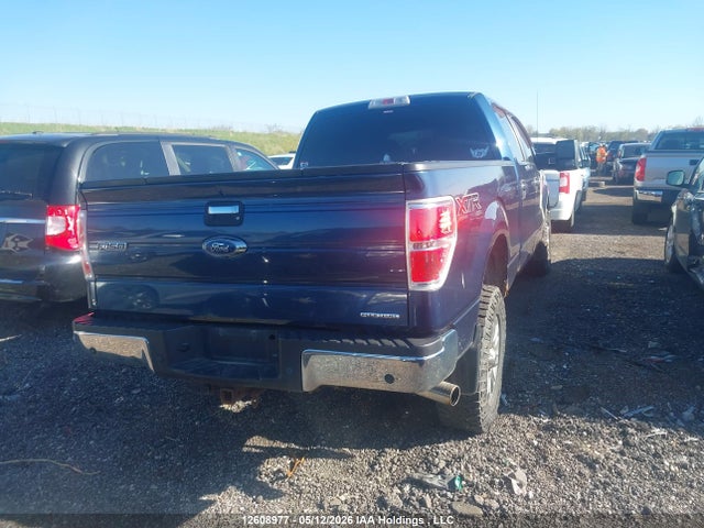 Продаж на аукціоні авто 2013 Ford F-150 Xlt, vin: 1FTFW1EF9DFB48176, номер лоту: 12608977