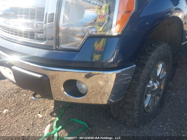 Продаж на аукціоні авто 2013 Ford F-150 Xlt, vin: 1FTFW1EF9DFB48176, номер лоту: 12608977