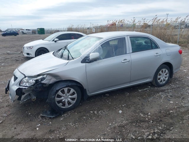 2010 Toyota Corolla Ce მანქანა იყიდება აუქციონზე, vin: 2T1BU4EE4AC442859, აუქციონის ნომერი: 12585421