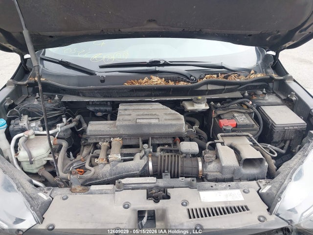 Auction sale of the 2019 Honda Cr-v Lx, vin: 2HKRW1H35KH002794, lot number: 12609029