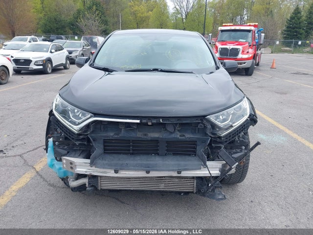 Auction sale of the 2019 Honda Cr-v Lx, vin: 2HKRW1H35KH002794, lot number: 12609029