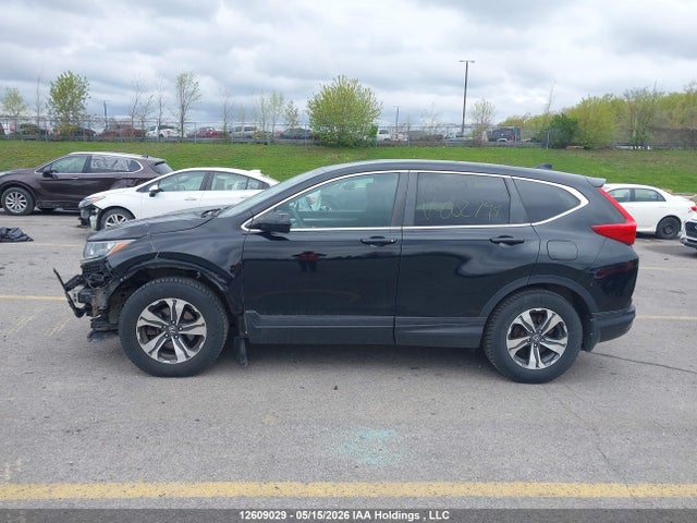 Auction sale of the 2019 Honda Cr-v Lx, vin: 2HKRW1H35KH002794, lot number: 12609029
