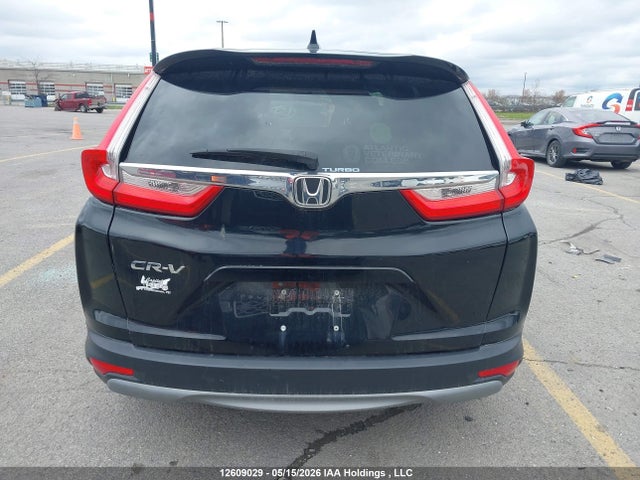 Auction sale of the 2019 Honda Cr-v Lx, vin: 2HKRW1H35KH002794, lot number: 12609029
