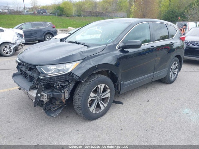 Auction sale of the 2019 Honda Cr-v Lx, vin: 2HKRW1H35KH002794, lot number: 12609029