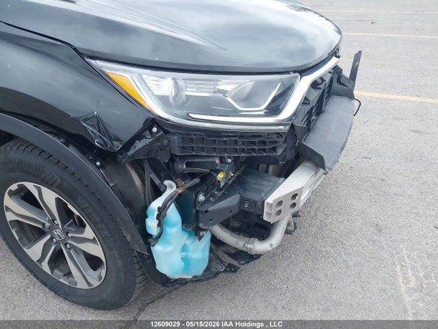 Auction sale of the 2019 Honda Cr-v Lx, vin: 2HKRW1H35KH002794, lot number: 12609029