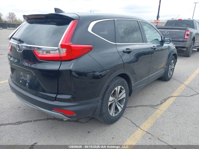 Auction sale of the 2019 Honda Cr-v Lx, vin: 2HKRW1H35KH002794, lot number: 12609029