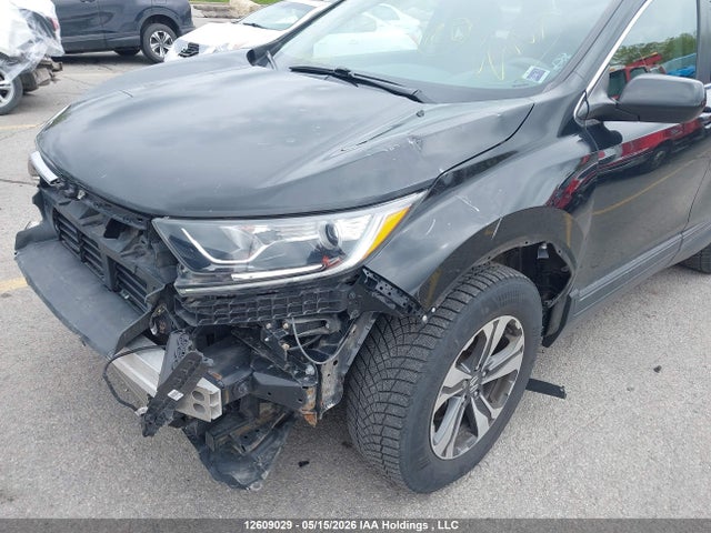 Auction sale of the 2019 Honda Cr-v Lx, vin: 2HKRW1H35KH002794, lot number: 12609029