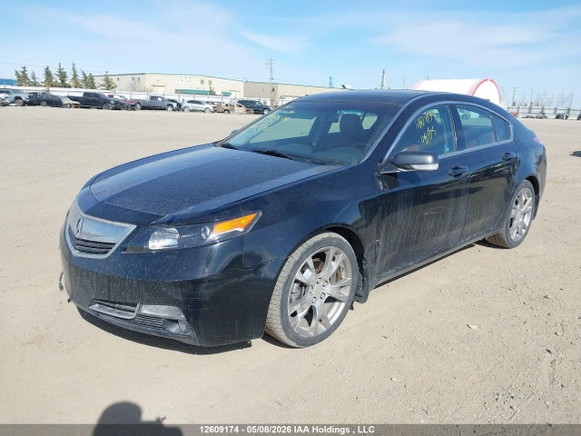 2012 Acura Tl Elite მანქანა იყიდება აუქციონზე, vin: 19UUA9F74CA802316, აუქციონის ნომერი: 12609174