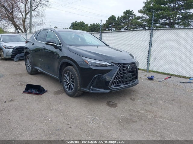 Lexus Nx 350 Premium 2025 2T2GGCEZ9SC076582 Image 1