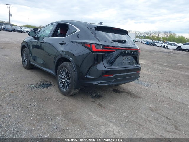 Lexus Nx 350 Premium 2025 2T2GGCEZ9SC076582 Image 3