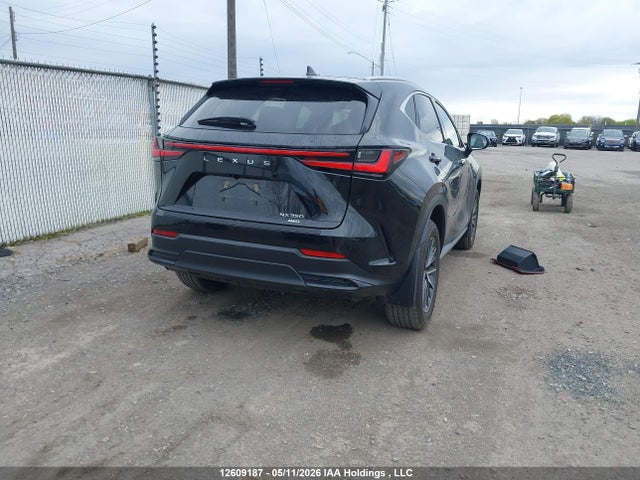 Lexus Nx 350 Premium 2025 2T2GGCEZ9SC076582 Image 4