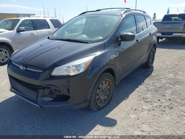 Продаж на аукціоні авто 2014 Ford Escape Se, vin: 1FMCU9G96EUD96909, номер лоту: 12604180