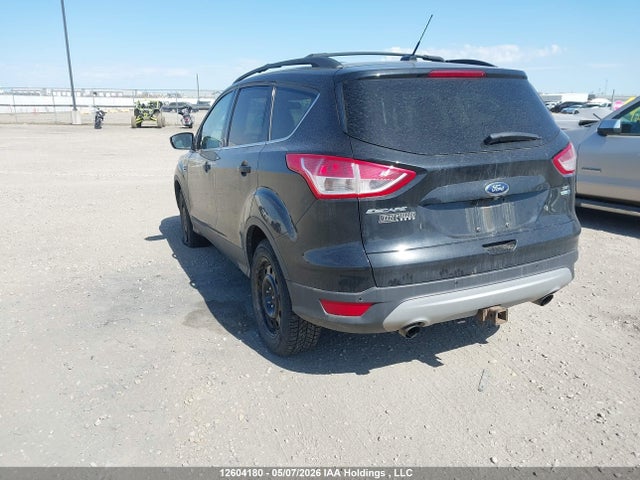 Продаж на аукціоні авто 2014 Ford Escape Se, vin: 1FMCU9G96EUD96909, номер лоту: 12604180