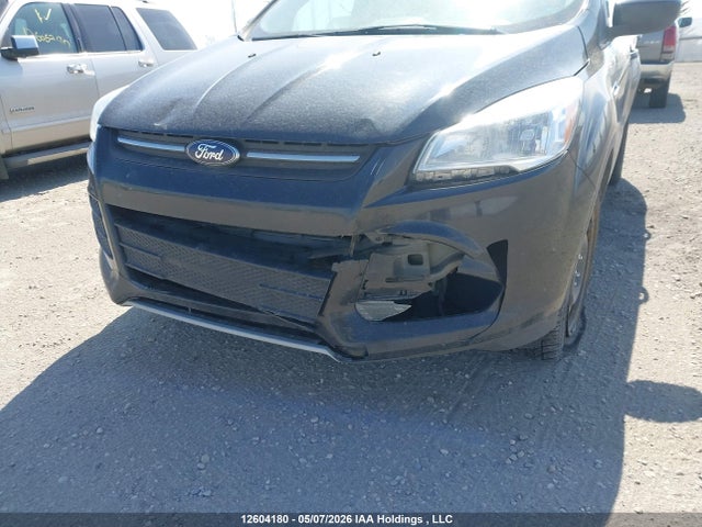 Продаж на аукціоні авто 2014 Ford Escape Se, vin: 1FMCU9G96EUD96909, номер лоту: 12604180