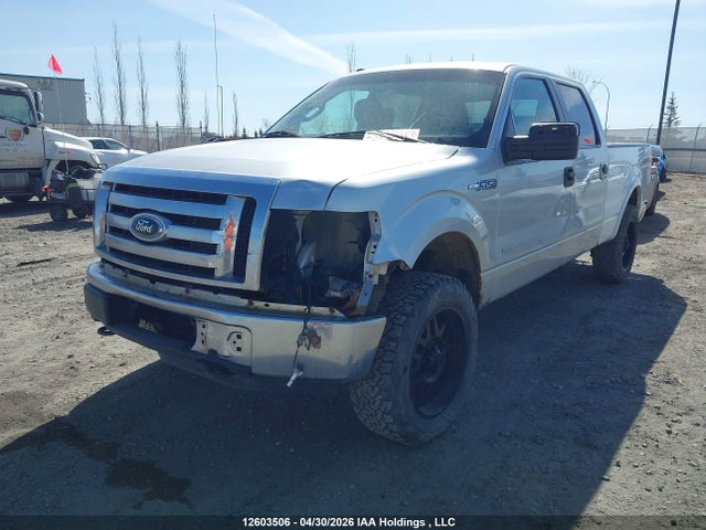 Aukcja sprzedaży 2012 Ford F-150 Fx4/king Ranch/lariat/platinum/xlt, vin: 1FTFW1ETXCFA76215, numer aukcji: 12603506