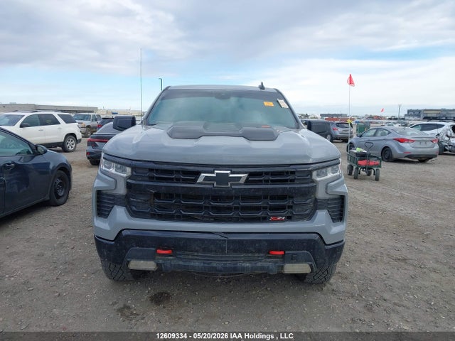 Продажа на аукционе авто 2024 Chevrolet Silverado K1500 Lt Trail Boss, vin: 3GCUDFED9RG441350, номер лота: 12609334