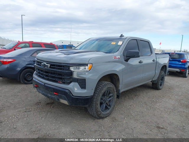 Продажа на аукционе авто 2024 Chevrolet Silverado K1500 Lt Trail Boss, vin: 3GCUDFED9RG441350, номер лота: 12609334