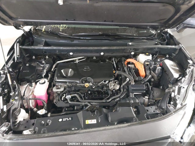 12609341 :رقم المزاد ، 2T3RWRFV0PW169700 vin ، 2023 Toyota Rav4 Xle/woodland Edition مزاد بيع