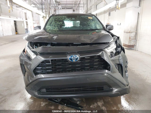 12609341 :رقم المزاد ، 2T3RWRFV0PW169700 vin ، 2023 Toyota Rav4 Xle/woodland Edition مزاد بيع