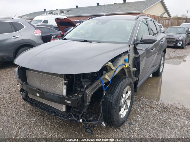 2024 Hyundai Tucson Sel მანქანა იყიდება აუქციონზე, vin: KM8JBCDE0RU316294, აუქციონის ნომერი: 12609344