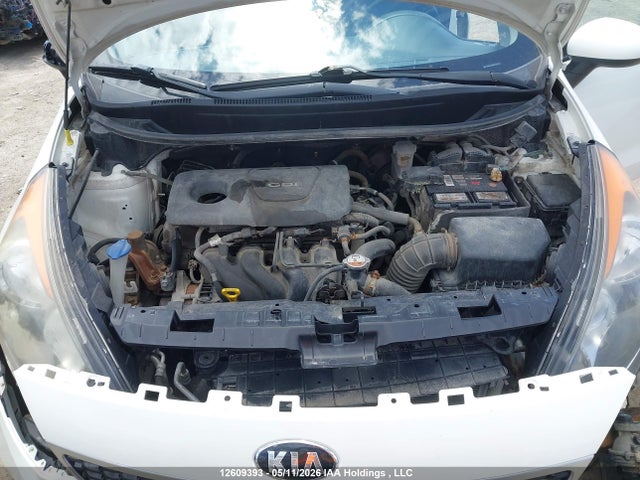 Продаж на аукціоні авто 2017 Kia Rio Ex Special Edition/ex+ W/sunroof/lx/lx+/sx/sx W/navigation, vin: KNADN5A38H6794714, номер лоту: 12609393