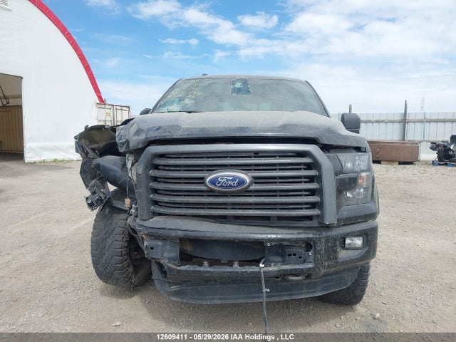 Ford F150 Supercrew 2016 1FTEW1EF5GFD26794 Image 13