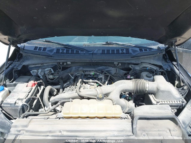 Aukcja sprzedaży 2020 Ford F150 Supercrew, vin: 1FTEW1EP2LFB93236, numer aukcji: 12609441