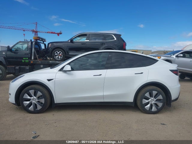 Продажа на аукционе авто 2023 Tesla Model Y, vin: LRWYGDEE1PC081736, номер лота: 12609457