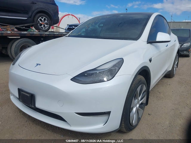 Продажа на аукционе авто 2023 Tesla Model Y, vin: LRWYGDEE1PC081736, номер лота: 12609457