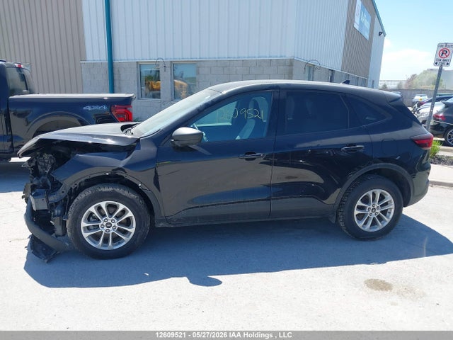 Продажа на аукционе авто 2025 Ford Escape Active, vin: 1FMCU9GN7SUA84543, номер лота: 12609521