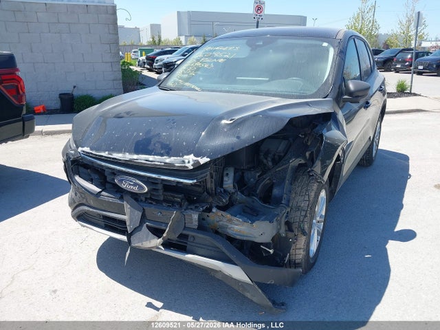 Продажа на аукционе авто 2025 Ford Escape Active, vin: 1FMCU9GN7SUA84543, номер лота: 12609521