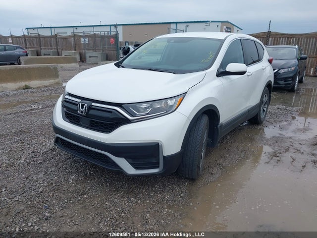 Honda CR-V LX 2022 2HKRW1H23NH000800 Image 2