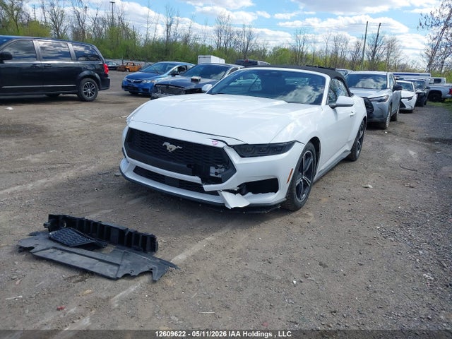 1FAGP8UH0S5119770 Ford Mustang