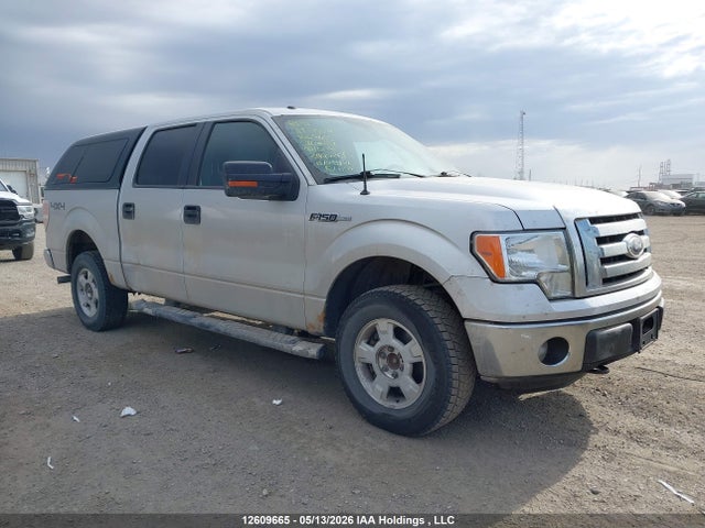 12609665 :رقم المزاد ، 1FTFW1EF1BFC01191 vin ، 2011 Ford F-150 Xlt مزاد بيع