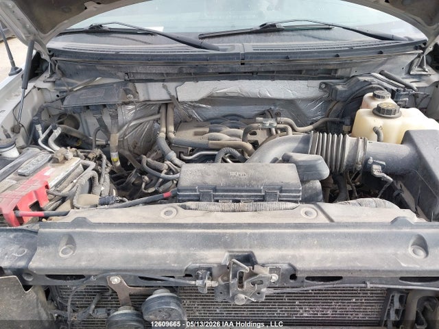 12609665 :رقم المزاد ، 1FTFW1EF1BFC01191 vin ، 2011 Ford F-150 Xlt مزاد بيع