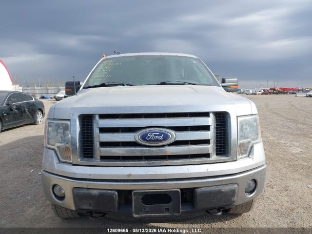 12609665 :رقم المزاد ، 1FTFW1EF1BFC01191 vin ، 2011 Ford F-150 Xlt مزاد بيع