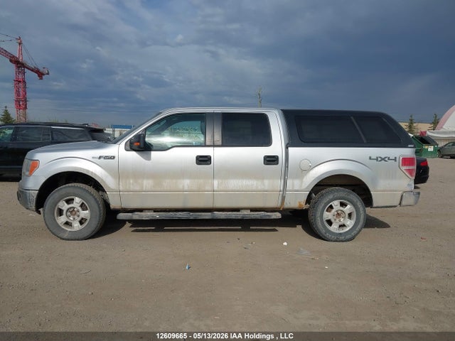 12609665 :رقم المزاد ، 1FTFW1EF1BFC01191 vin ، 2011 Ford F-150 Xlt مزاد بيع