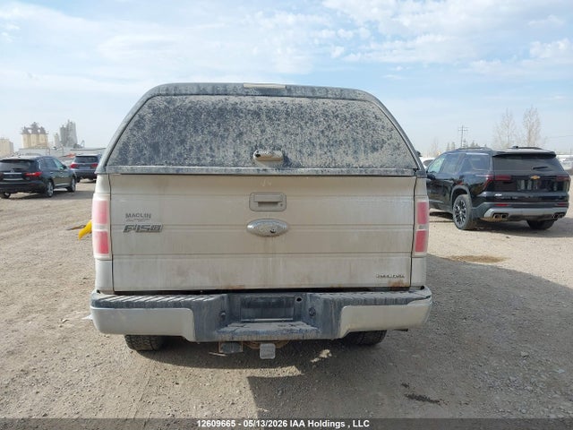 12609665 :رقم المزاد ، 1FTFW1EF1BFC01191 vin ، 2011 Ford F-150 Xlt مزاد بيع