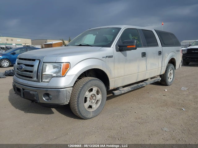 12609665 :رقم المزاد ، 1FTFW1EF1BFC01191 vin ، 2011 Ford F-150 Xlt مزاد بيع