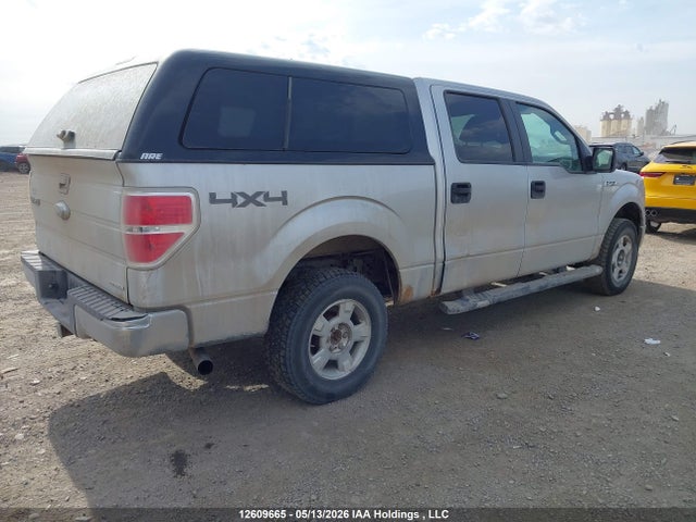 12609665 :رقم المزاد ، 1FTFW1EF1BFC01191 vin ، 2011 Ford F-150 Xlt مزاد بيع