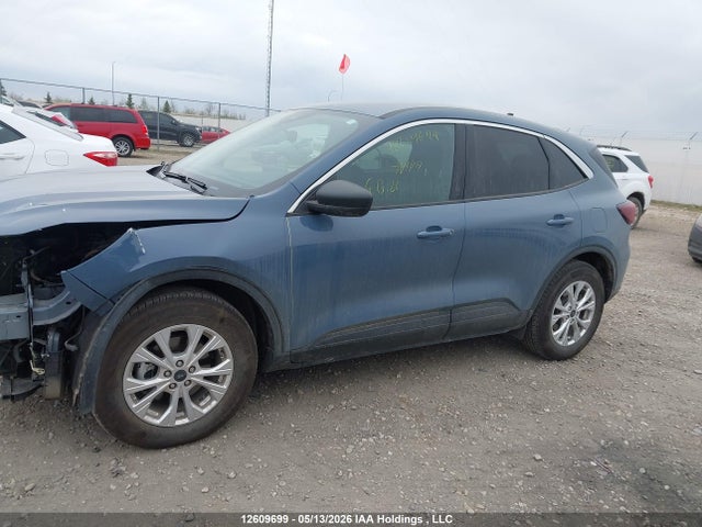Продажа на аукционе авто 2024 Ford Escape Active, vin: 1FMCU9GN0RUA90131, номер лота: 12609699