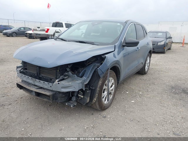 Продажа на аукционе авто 2024 Ford Escape Active, vin: 1FMCU9GN0RUA90131, номер лота: 12609699