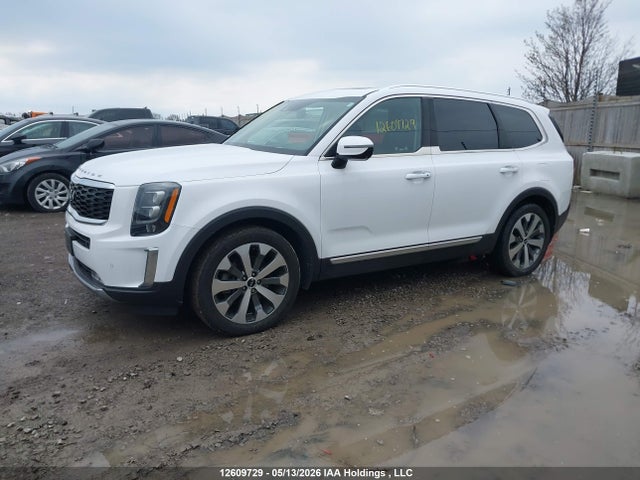 Продаж на аукціоні авто 2022 Kia Telluride Nightsky/sx/sx Limited, vin: 5XYP5DHC8NG196650, номер лоту: 12609729